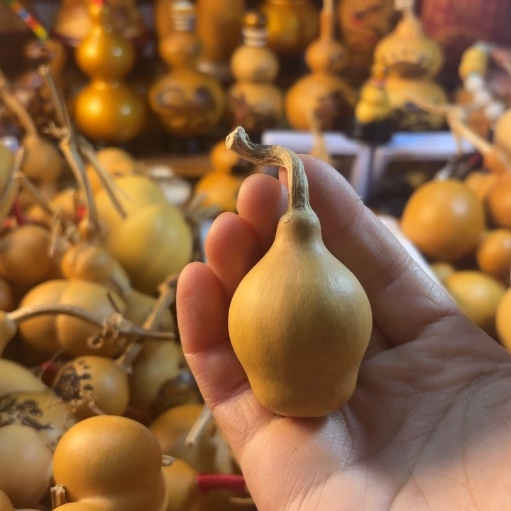 上**?葫芦……葫芦头