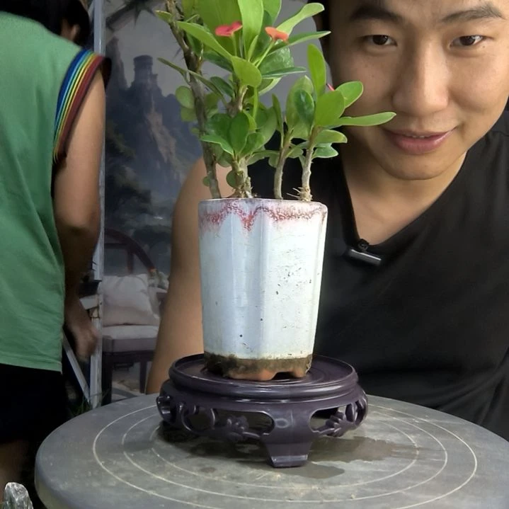 朔*中青园艺一物一拍197