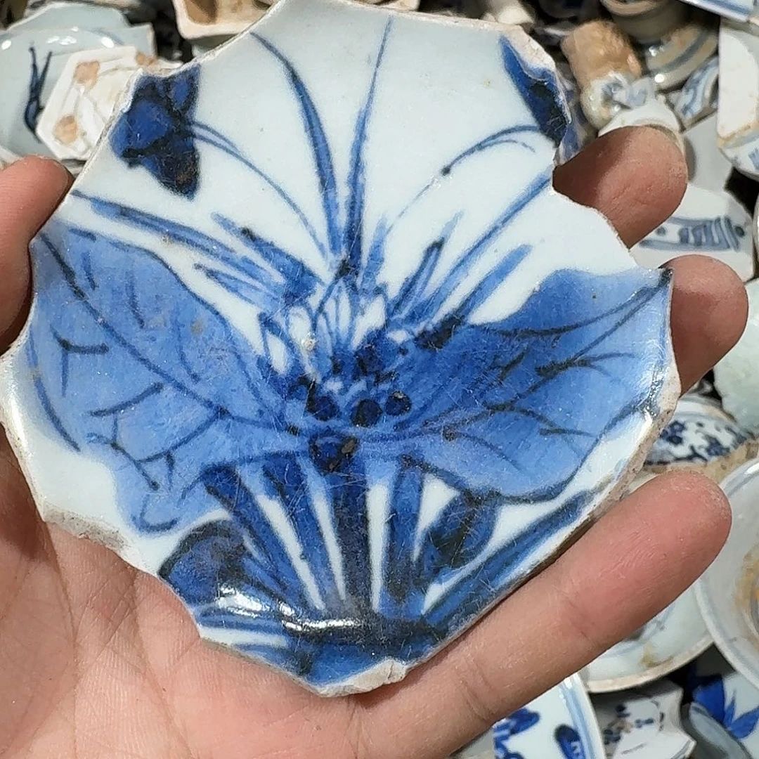 瓷片瓷片标本，顺丰包邮