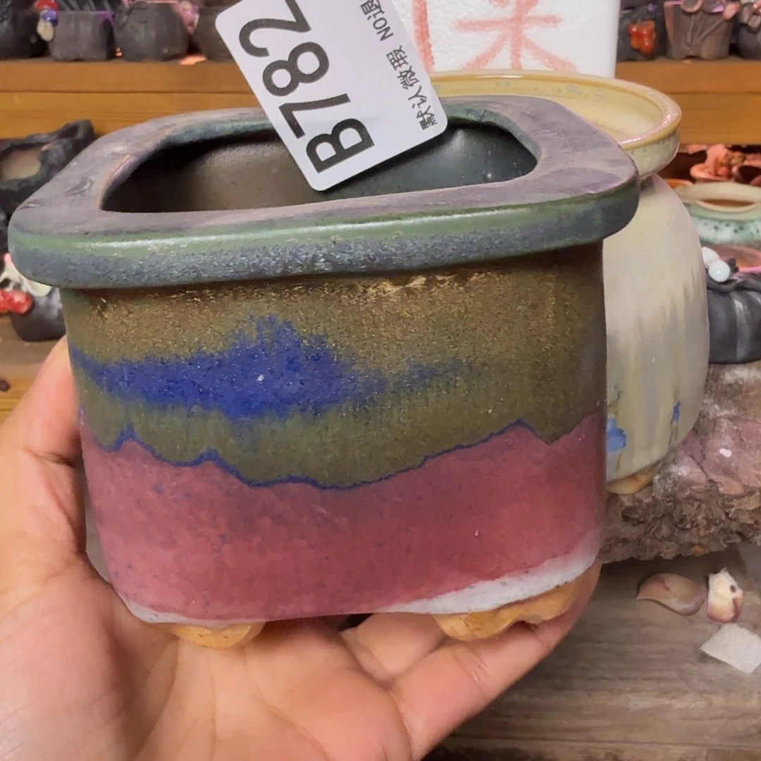 重庆小燕子欢迎大家782