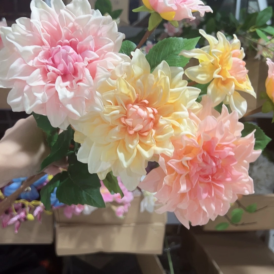 3枝混色手感保湿大丽花