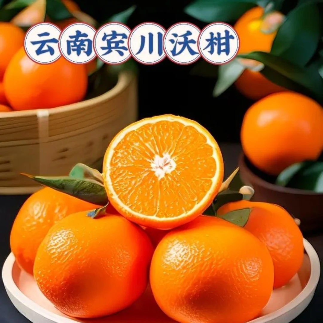 云南大理宾川晚熟沃柑现摘新鲜爆汁当季水果