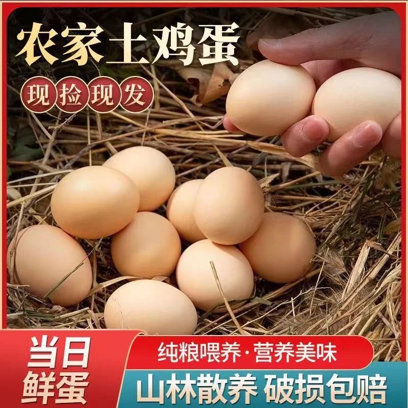【五谷散养】50枚农家土鸡蛋农村散养黄心土鸡蛋40-50克整箱50枚