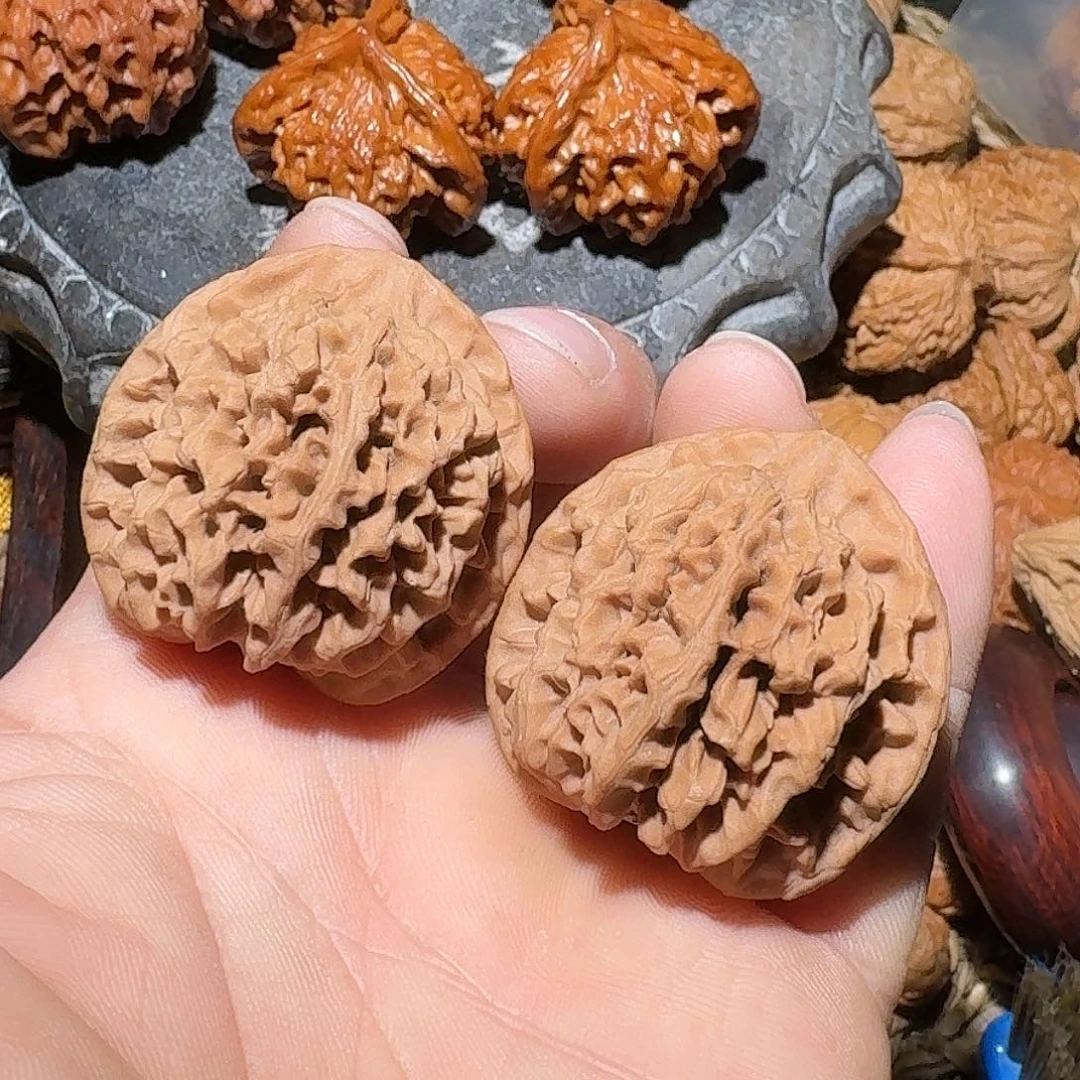 核桃亲们全品37尺