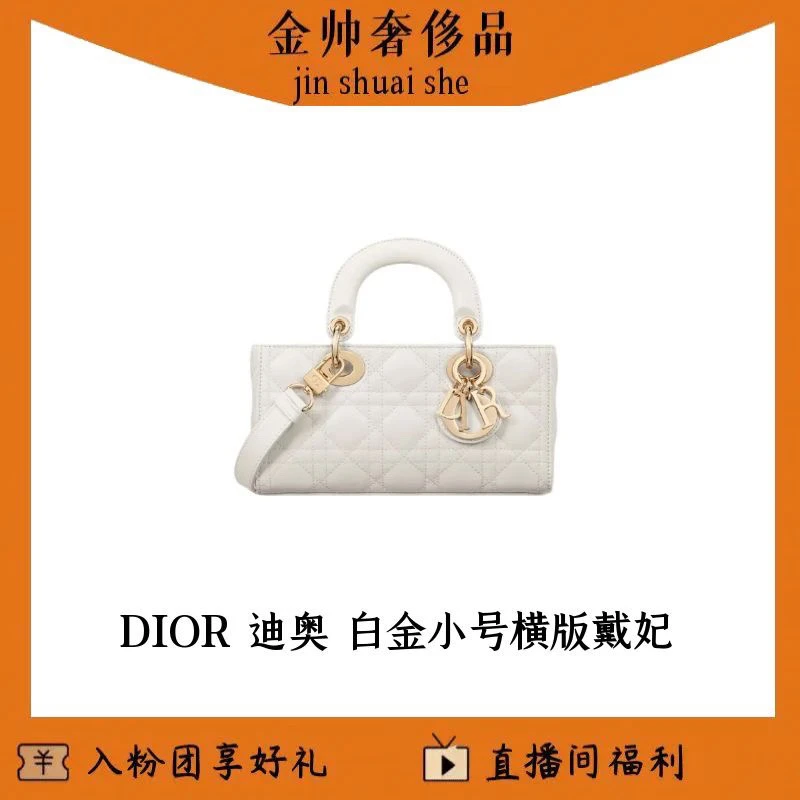 99新 DIOR/迪奥 白金/小号/横版戴妃/单肩包/B5874