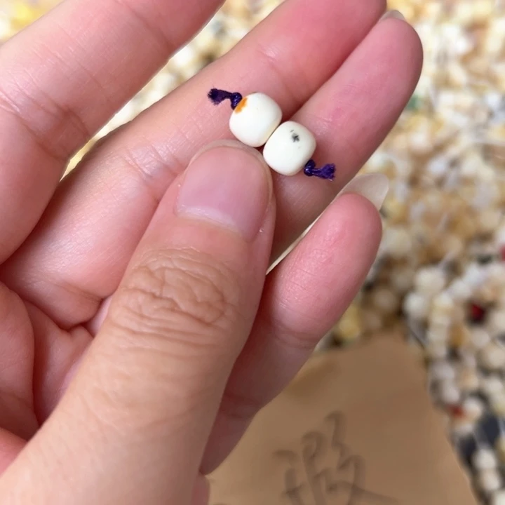 蜜蜡未镶嵌裸石7.2mm一对