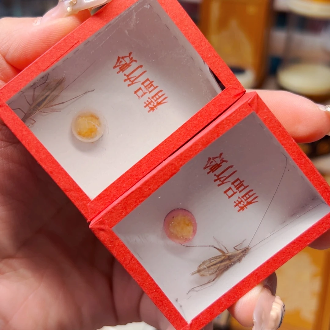红山竹2个哈哈哈哈