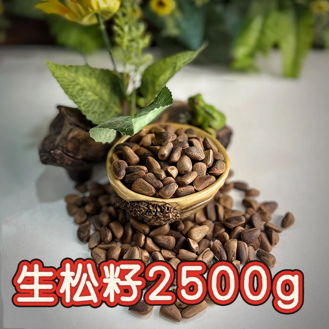 东北红松子生松籽大颗粒原味松子，生松籽坚果坚果批发