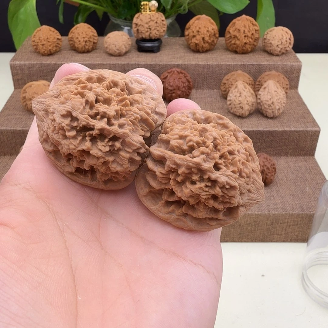 全品一代满天星42/39/44