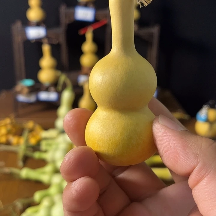 花***园大叶紫檀（黑酸枝木类）
