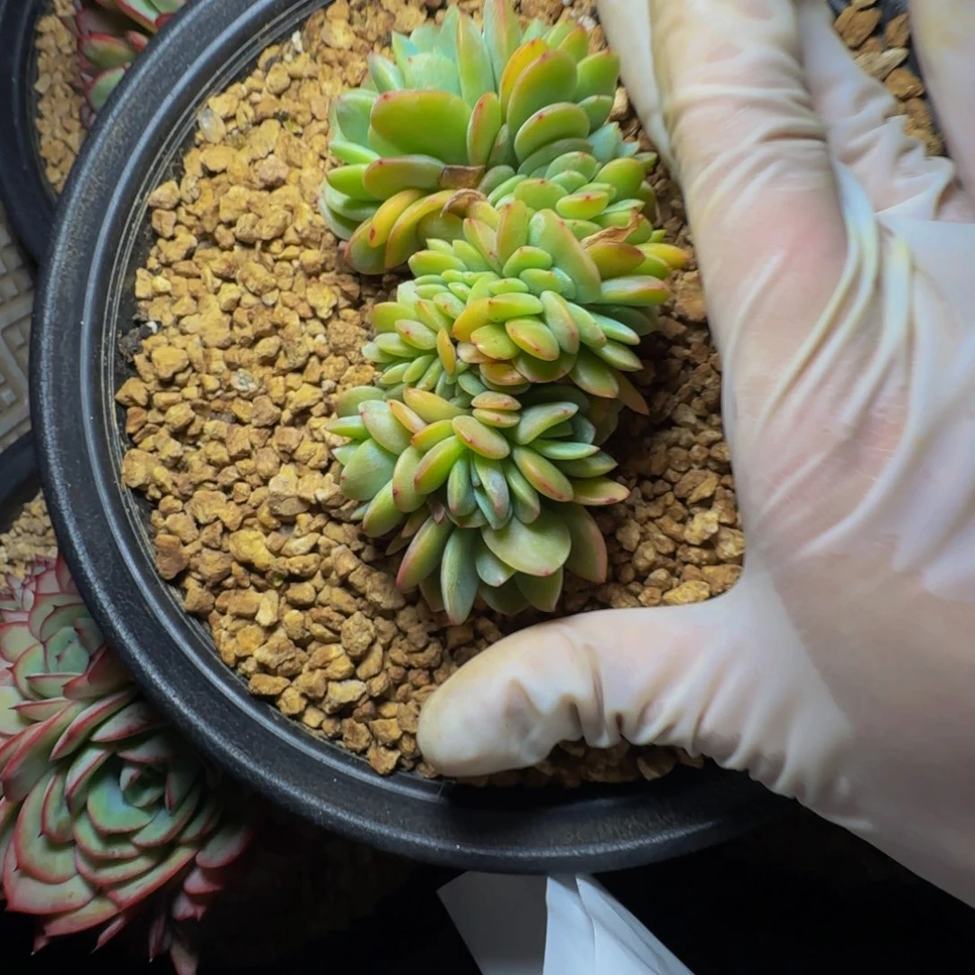 k k k k k k k k k 50