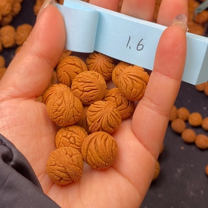 秦岭龙纹桃核15颗