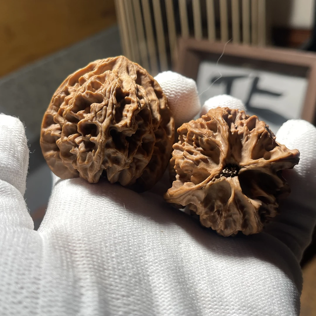 化十猿女生文玩｜山地无药苹果园狮子头核桃原桩边42+肚40+高41+