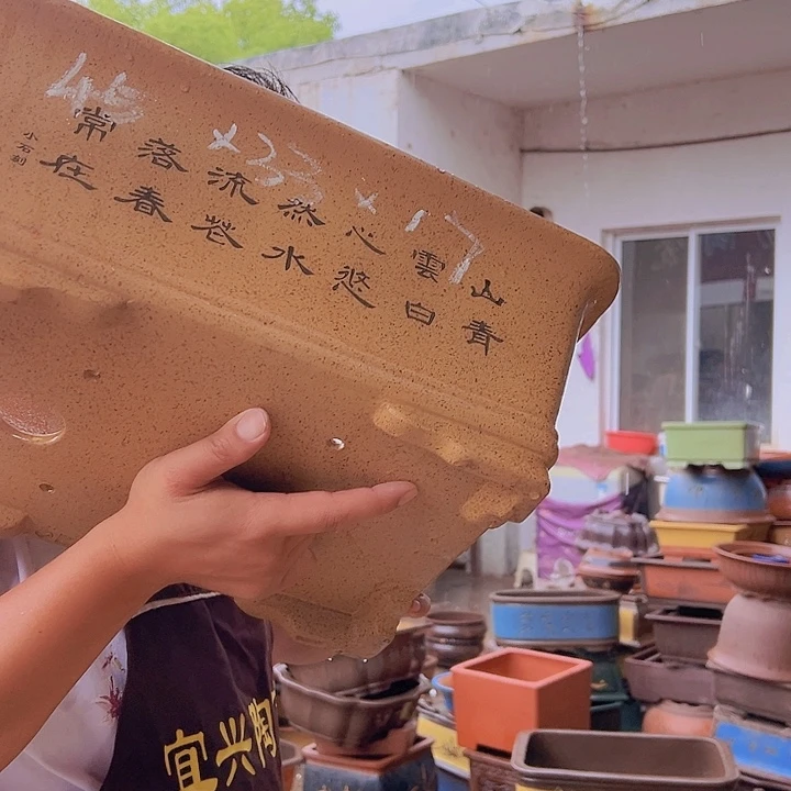 紫砂花盆紫砂花盆