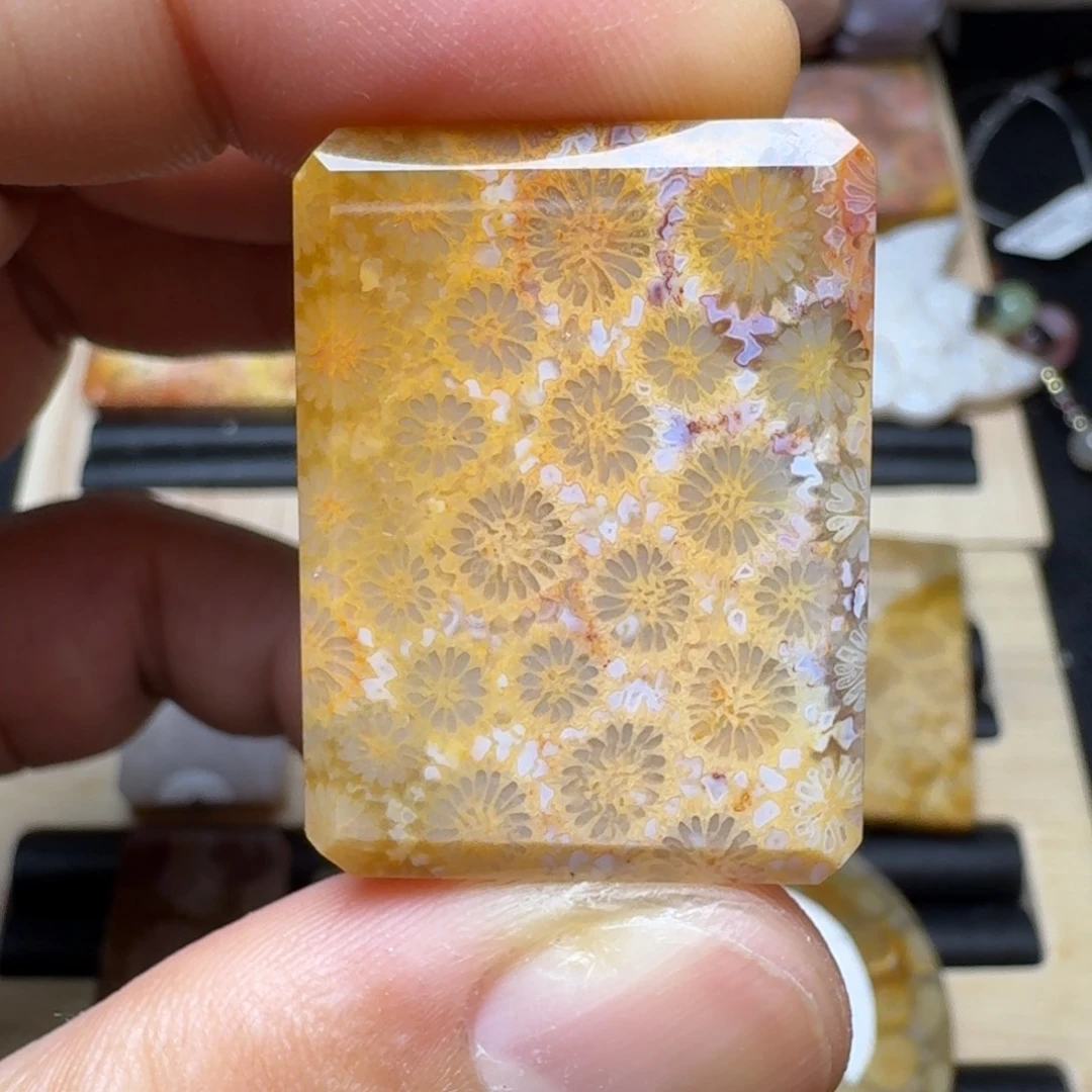 未镶嵌纯天然色有机玉石保真色硅化玉