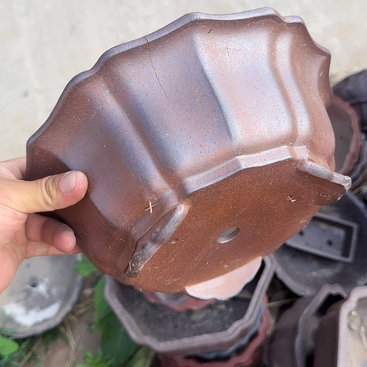 这一期太有意思咯太棒的