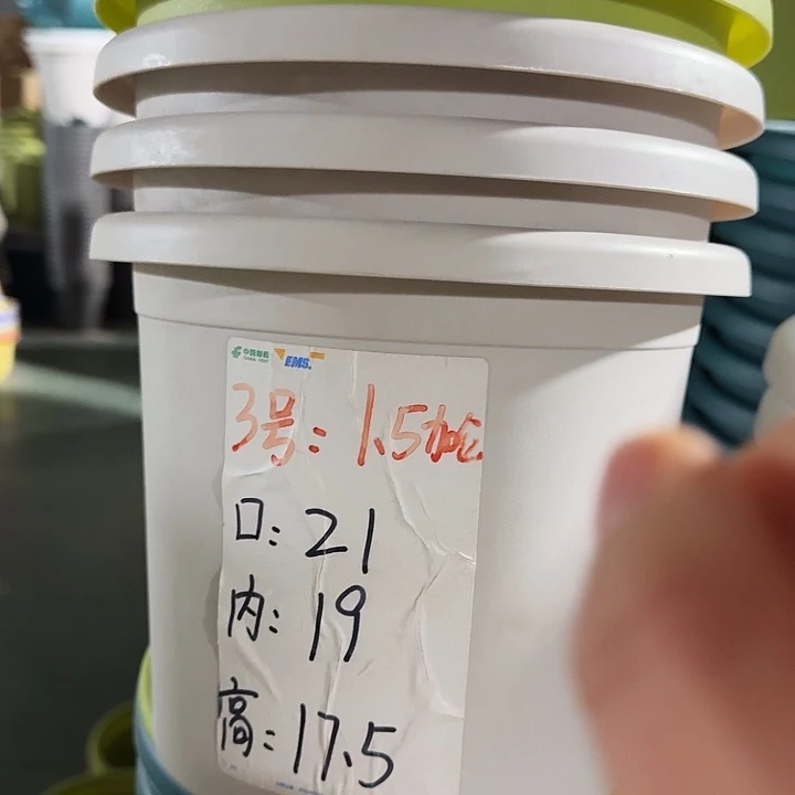 四季3号灰白无托10个特价