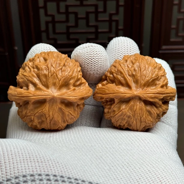 精选宫灯狮子头，边45肚42高31，粗楞大肚圆润饱满精卡精配一物一图