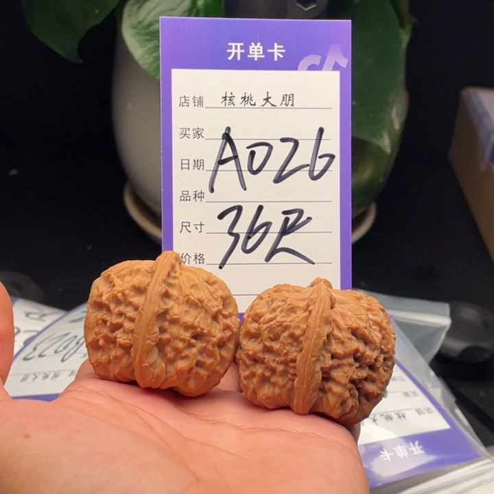 核桃狮子36尺
