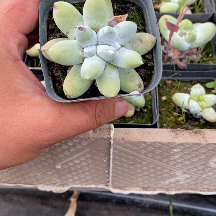 凡*3383哈哈哈哈哈哈哈哈哈