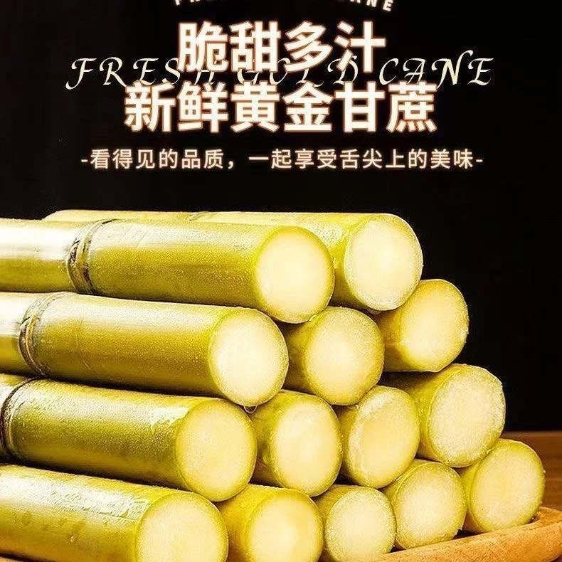 A云南黄金甘蔗现砍现发脆甜多汁新鲜当季水果肉厚皮薄产地直发