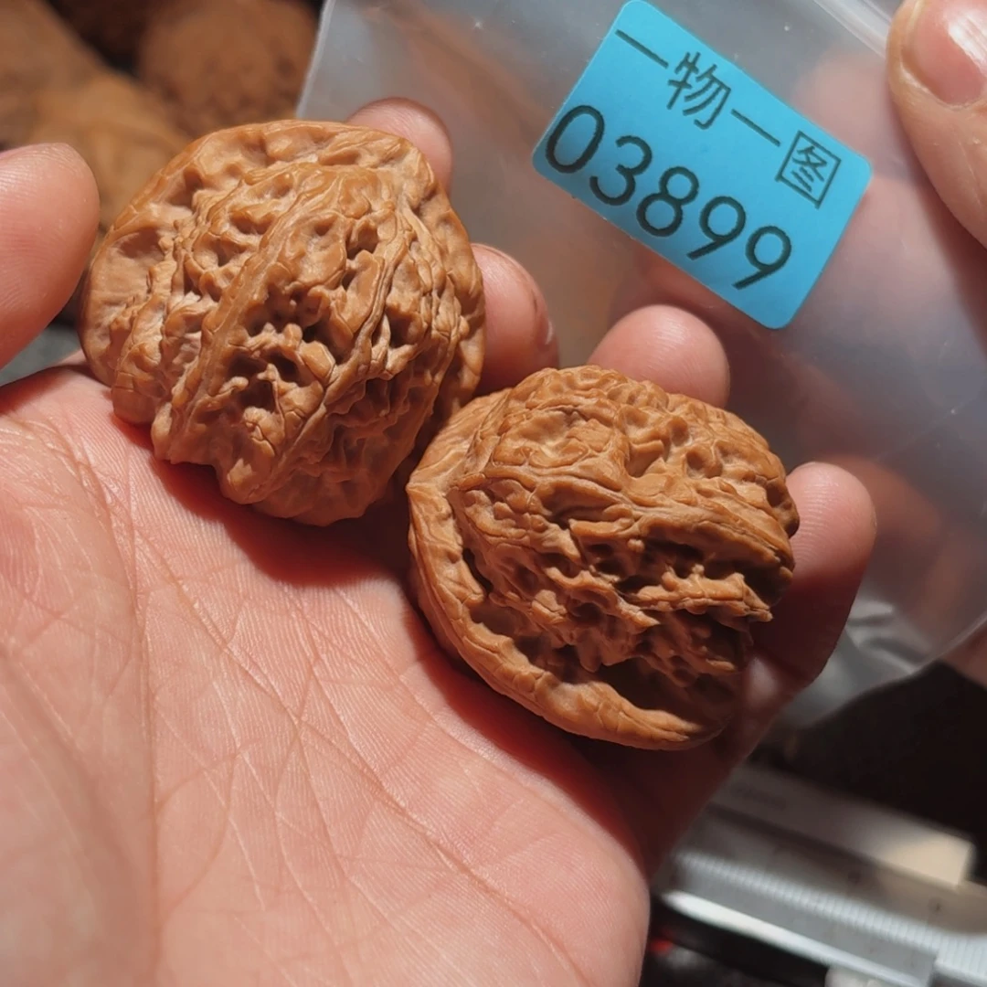 把件文玩核桃白狮子