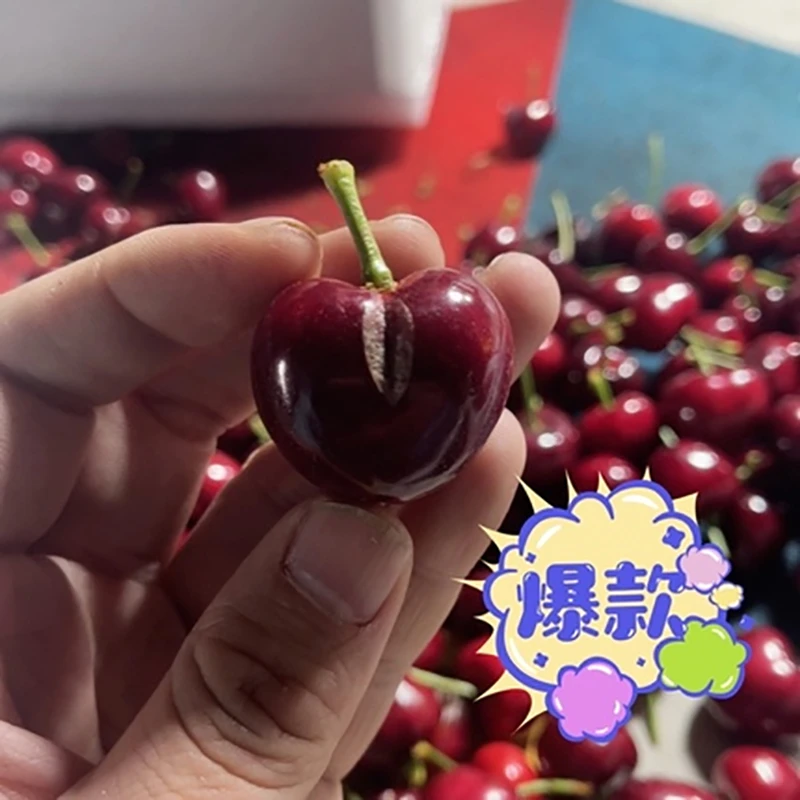 特价裂口大连美早樱桃辽宁省内顺丰空运1-6J混装3.5斤净重2.8以上美早辽宁省