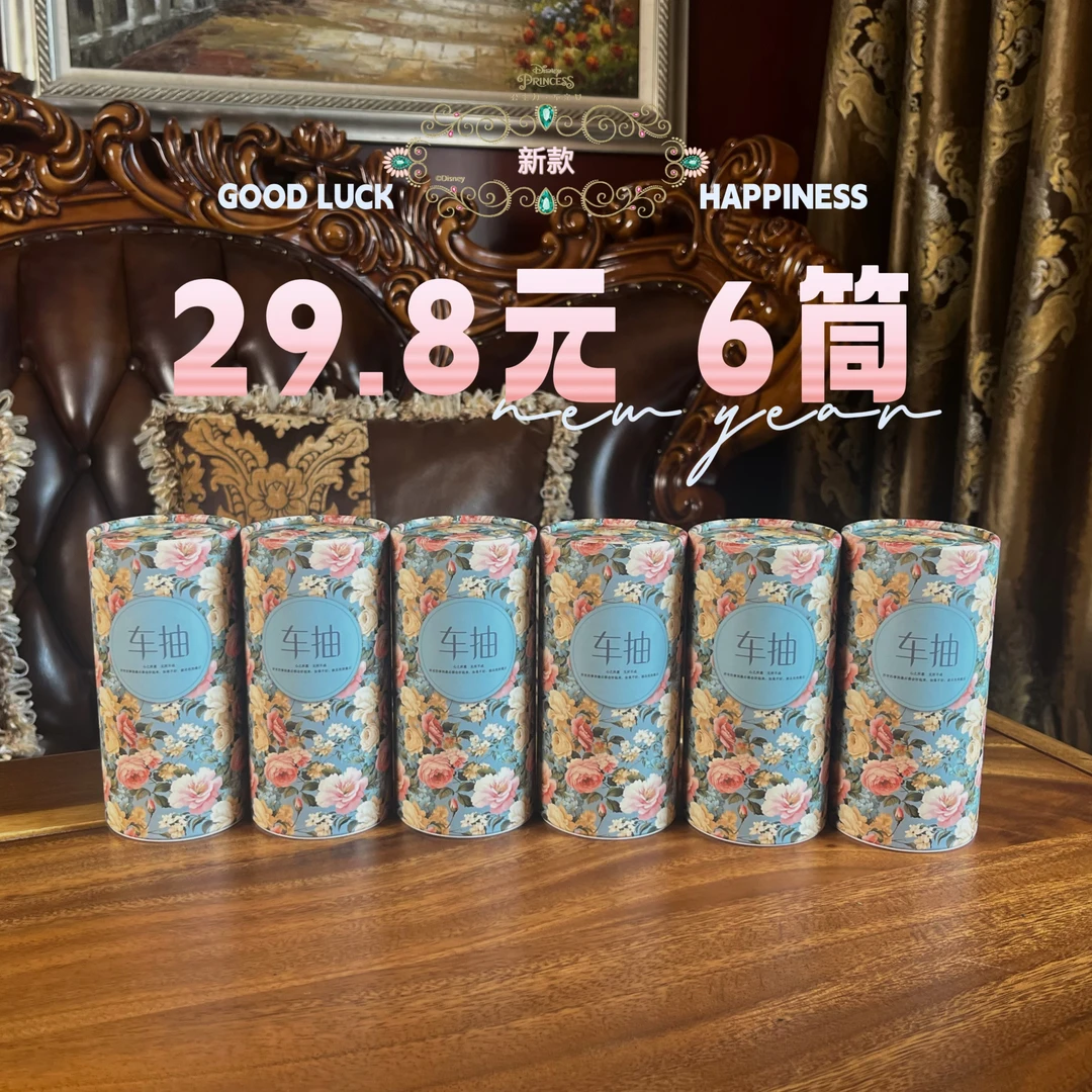 车抽6筒/高档车载专用抽纸圆筒抽纸礼品可爱欧式碎花7号
