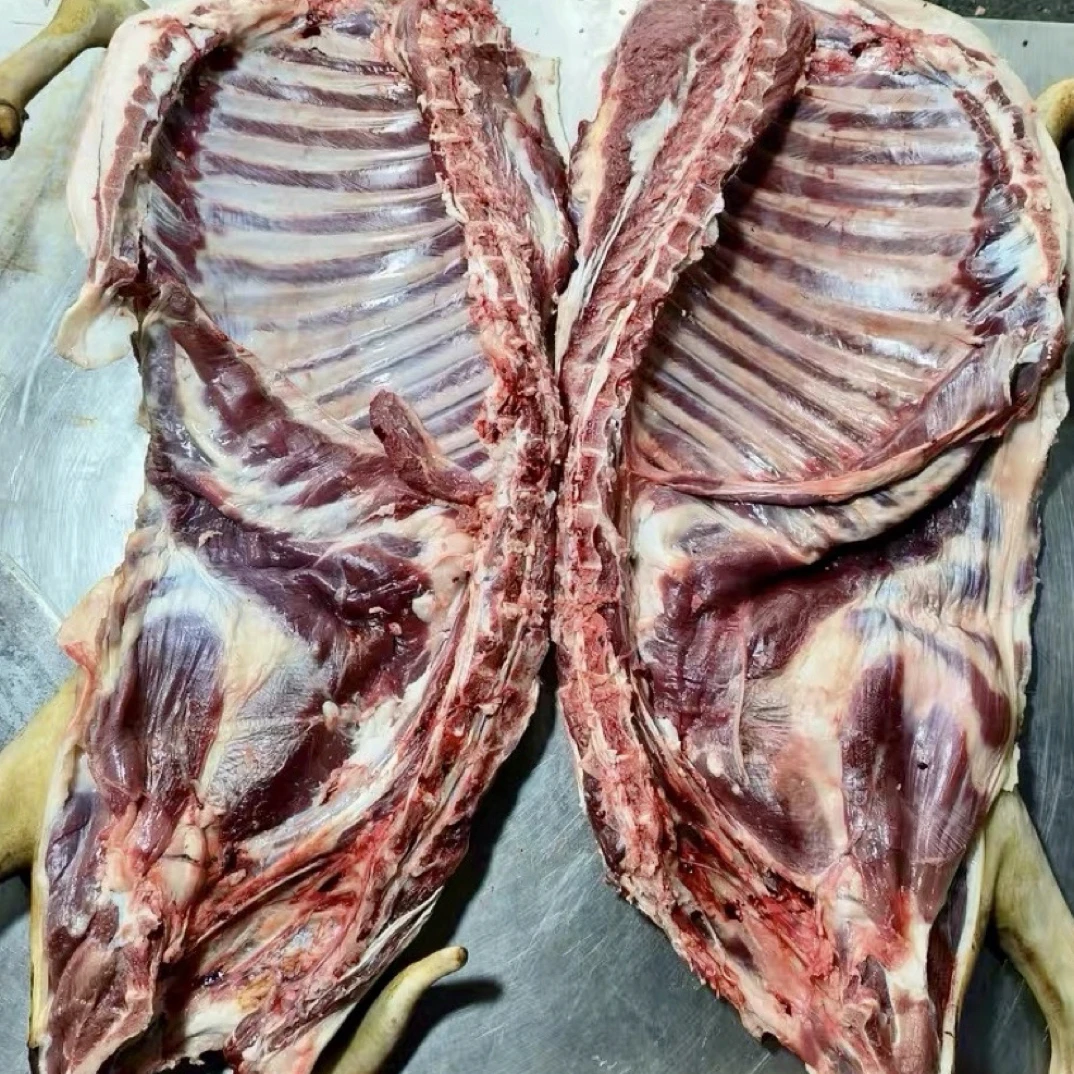 【半只羊】现称为准 一物一拍，黑山羊