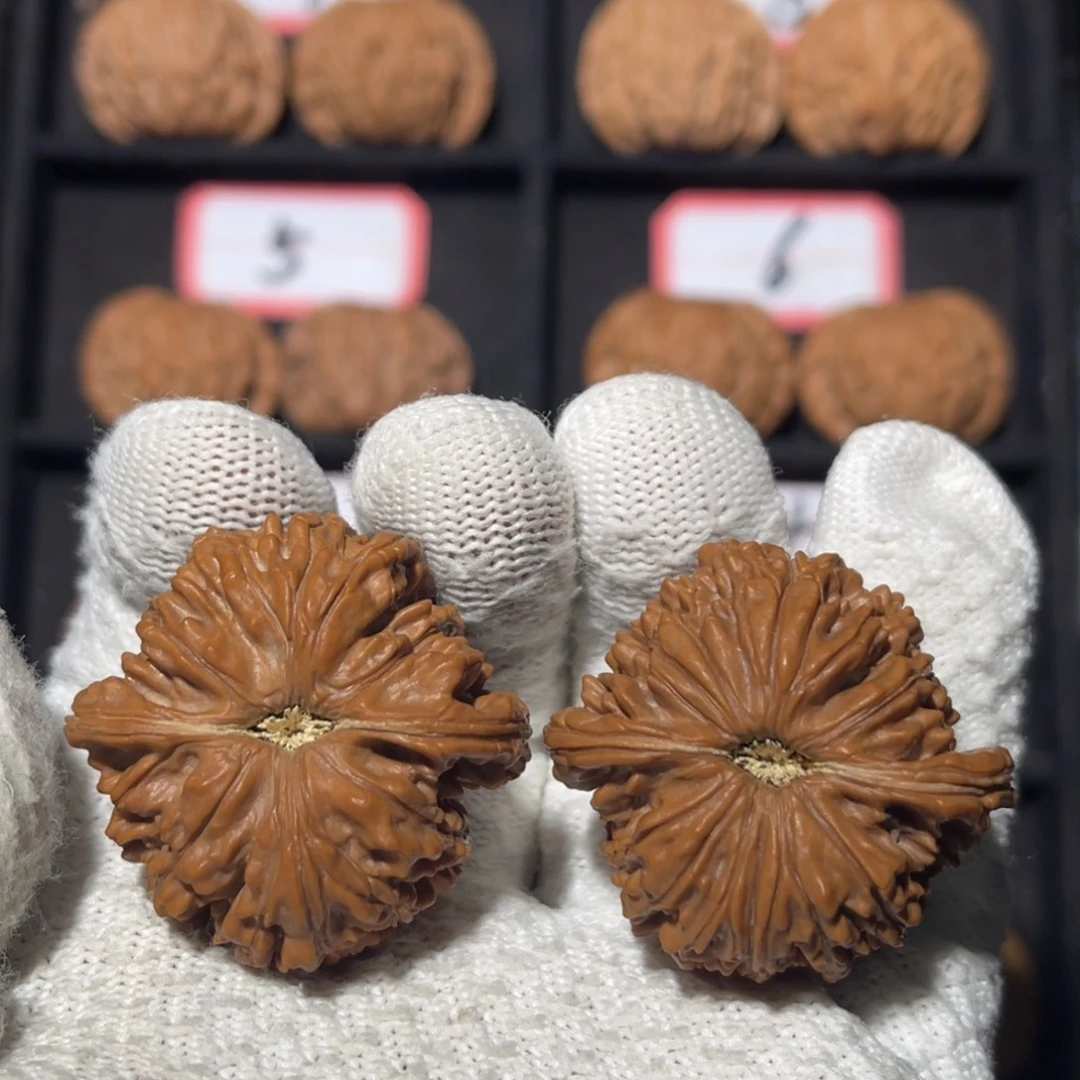 文玩核桃吊坠01秦皇岛山地果全品一代楼