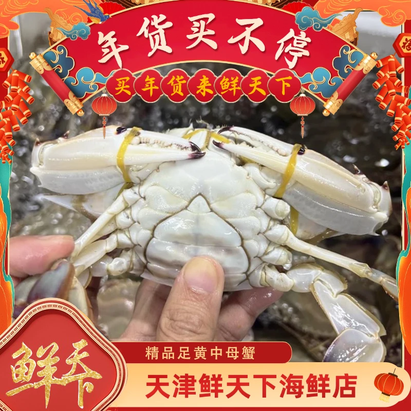 【保鲜不保活】足黄母蟹一斤2-3只左右 单只3-5两 掉爪