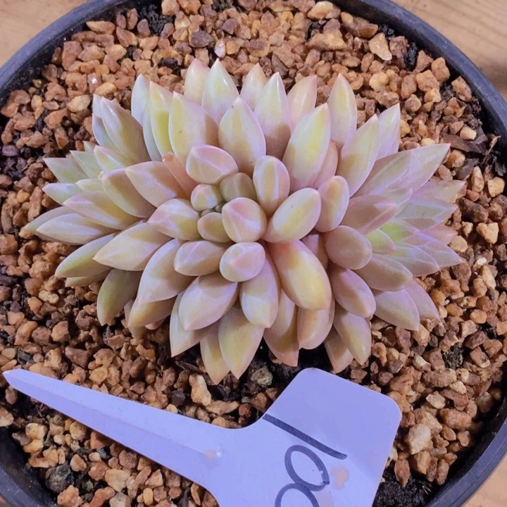 这样做不就更让自己