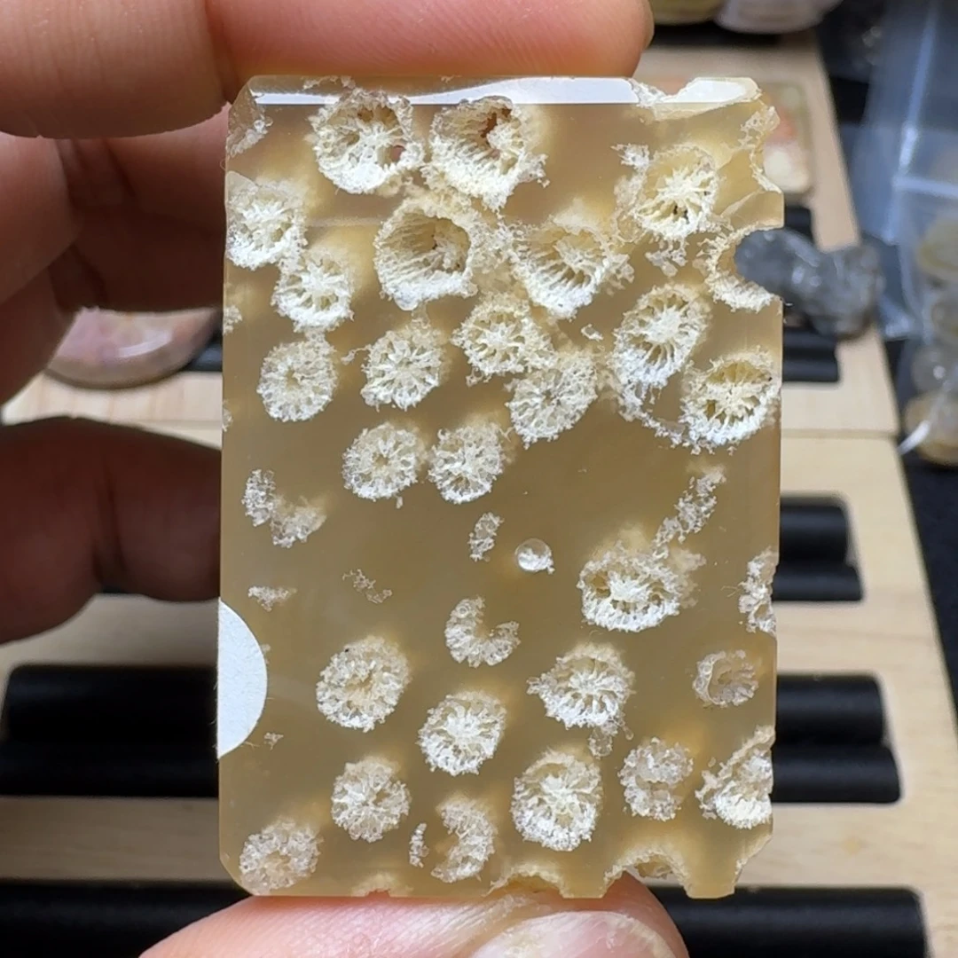 未镶嵌纯天色有机玉石保真色硅化玉