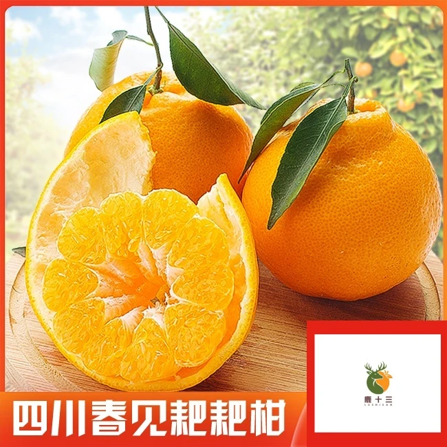 四川春见粑粑柑新鲜现摘甜嫩多汁当季水果丑橘