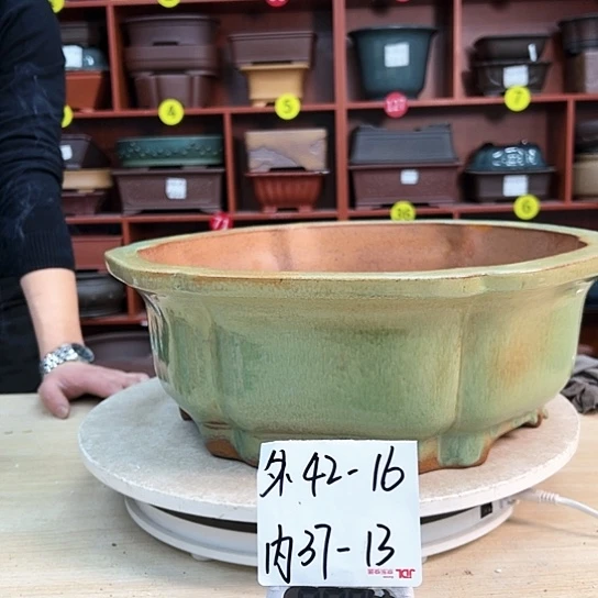 红陶葵****)紫砂花盆里放的东西