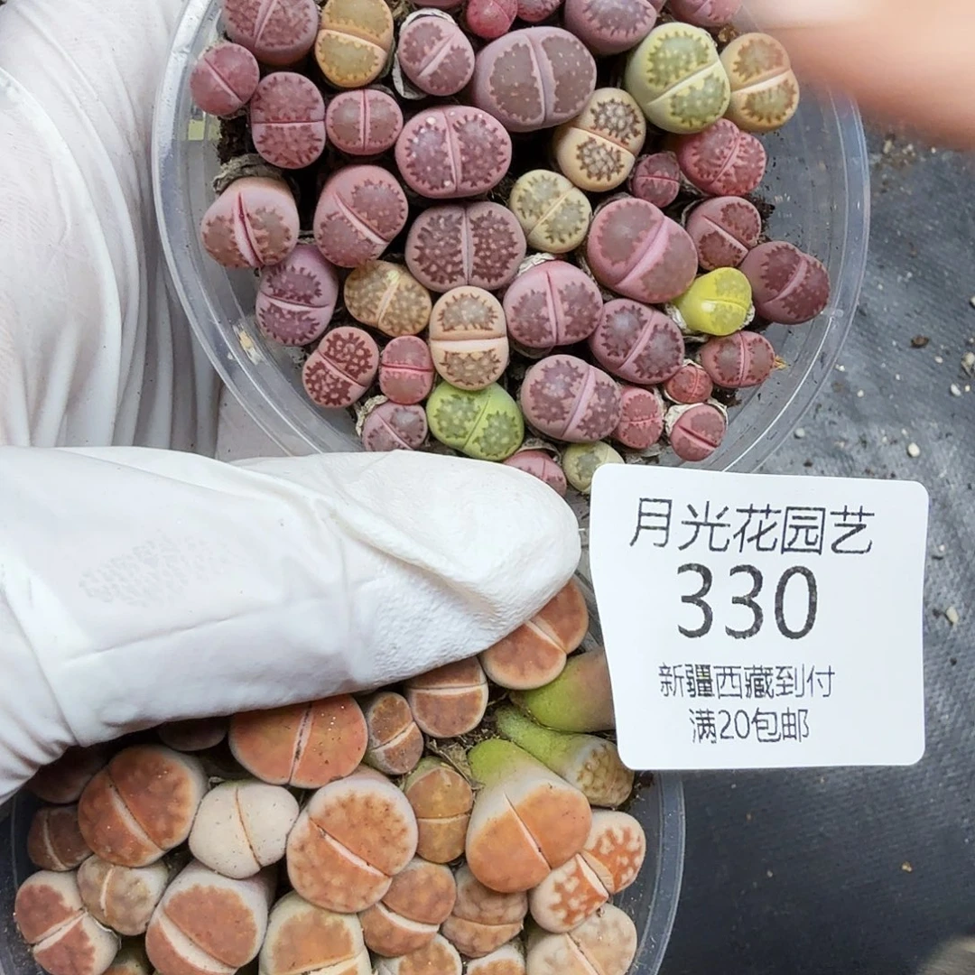 不会因为不懂自己内心330好