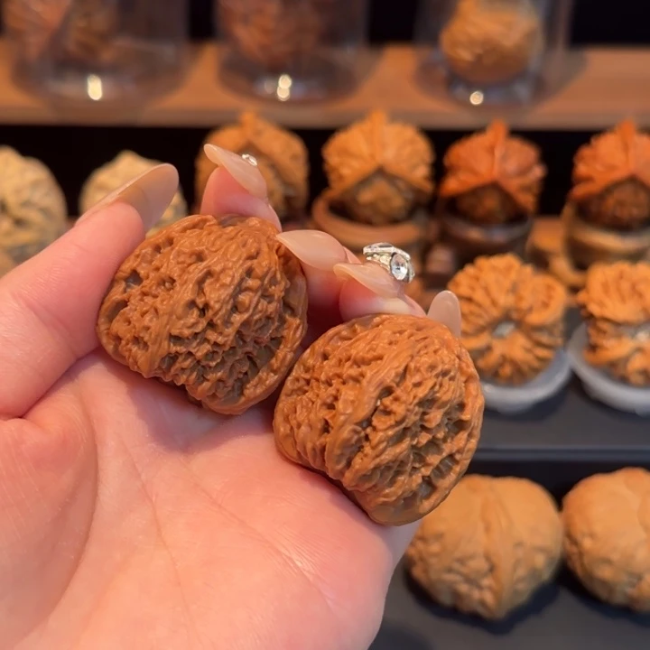 南疆石老树35大漏