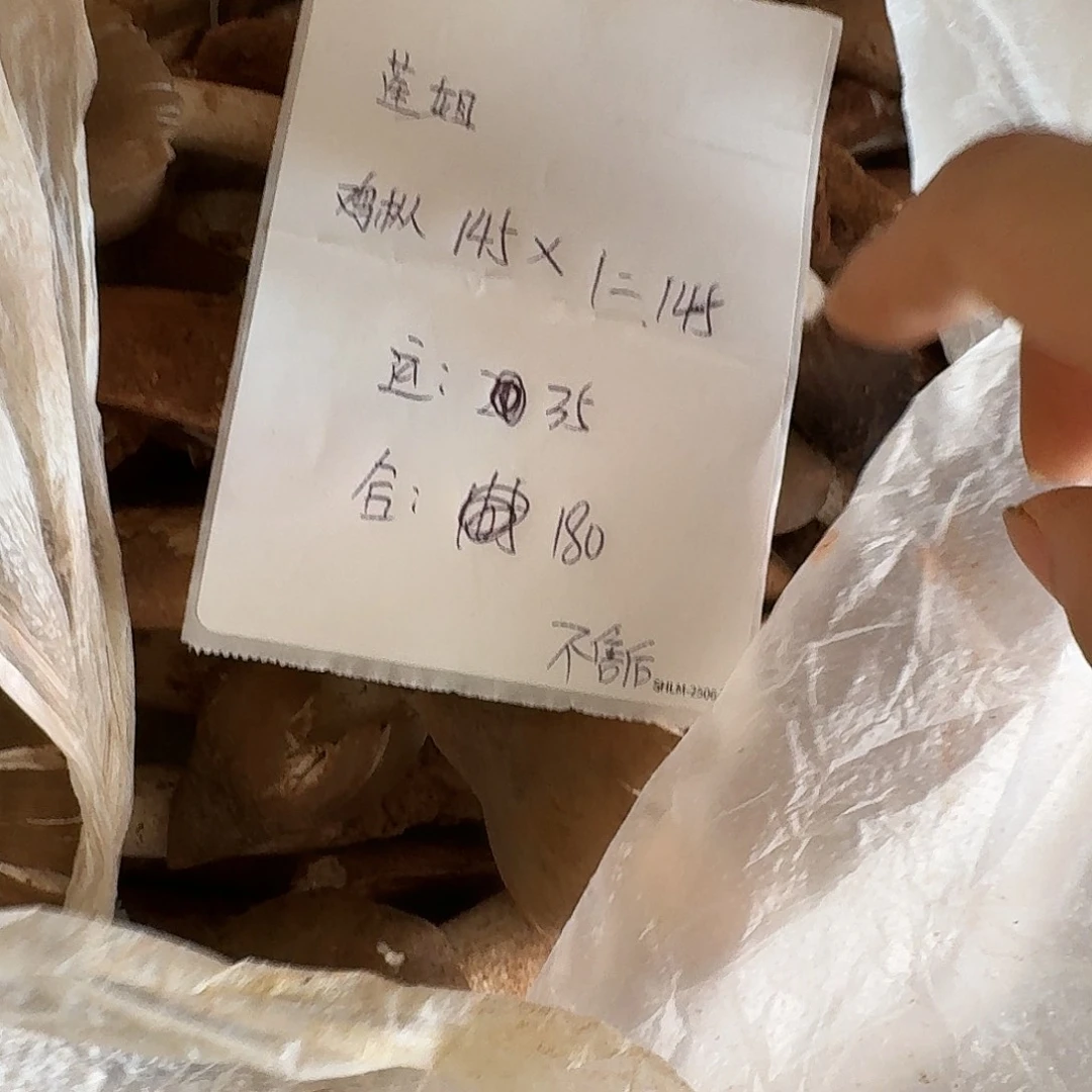 莲***姐菌子中国大陆菌子