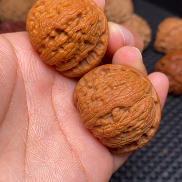 秦岭野生00000002