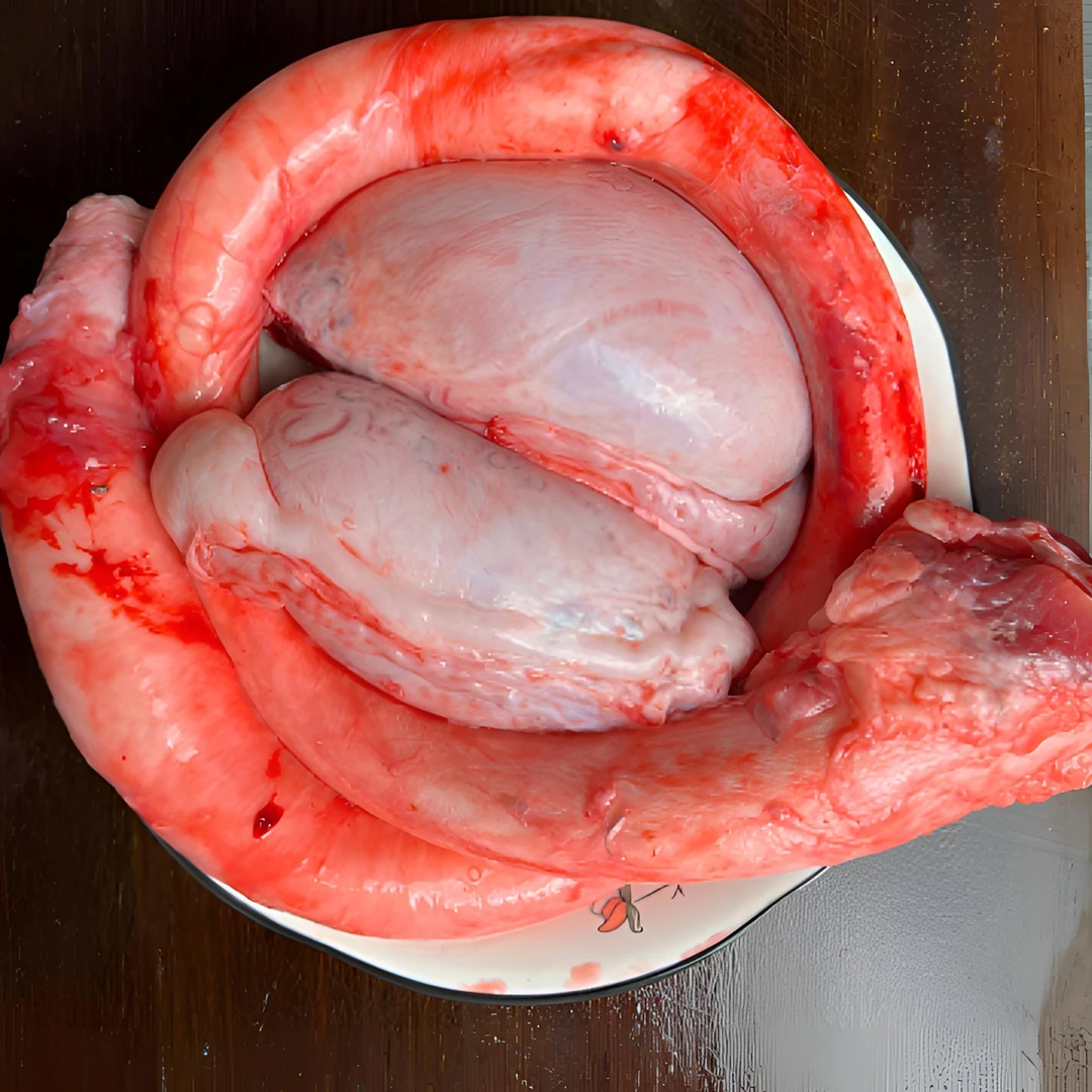 新鲜现杀黄牛牛鞭空运航空包邮牛鞭直播销售牛三宝牛蛋牛品质整套