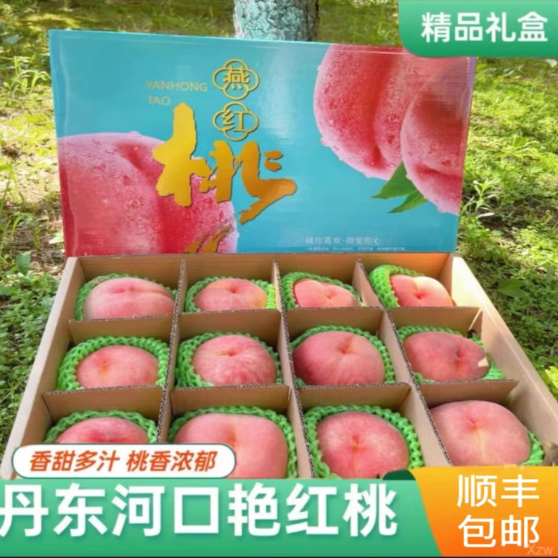 丹东艳红桃桃子现摘现发新鲜水果孕妇水蜜桃丹东河口燕红桃礼盒