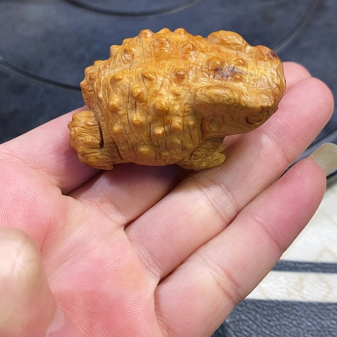 柏木（崖柏）崖柏柏木