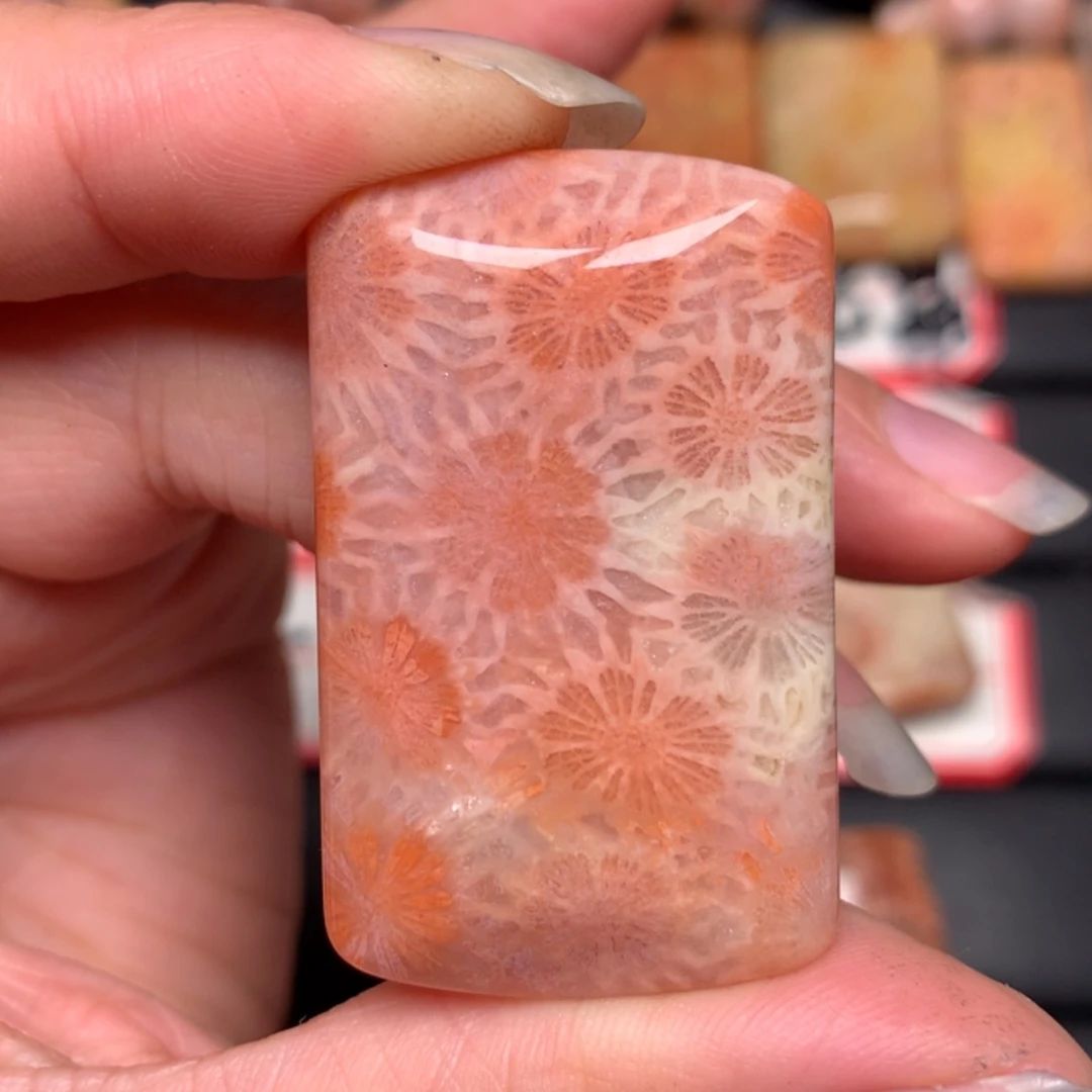 【闪购商品】硅化玉颈饰未镶嵌伊*