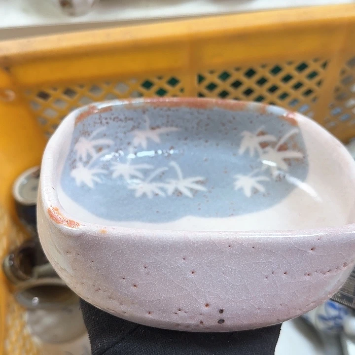 碗开播啦…开播啦