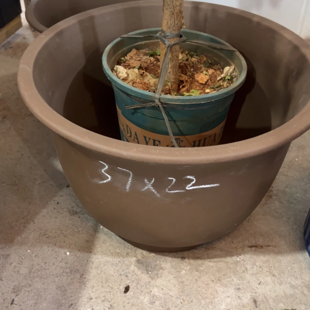 紫砂工艺厂……紫砂工艺厂……
