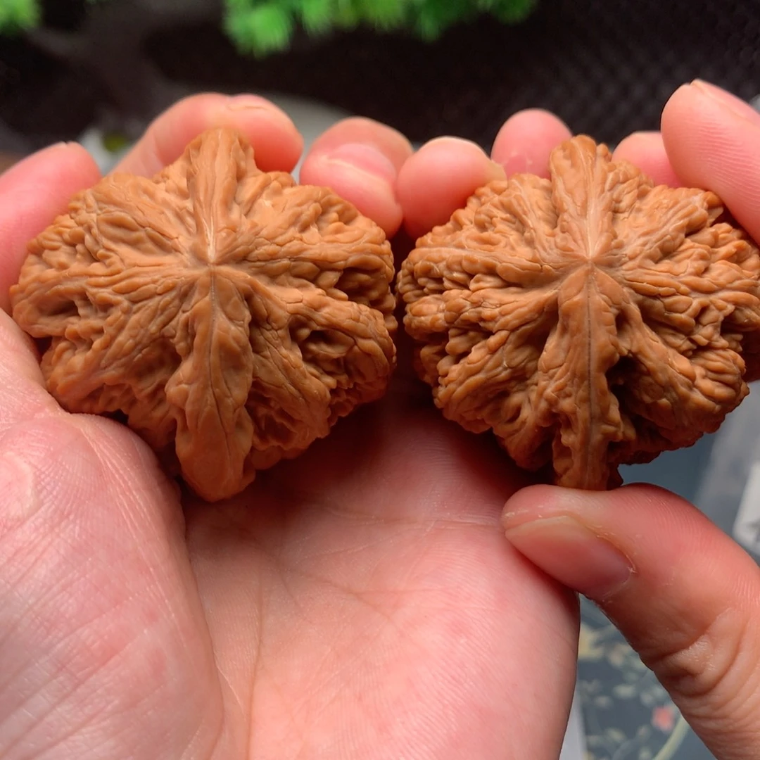 【闪购商品】桃核把件蜘****3粗筋46-12934-3