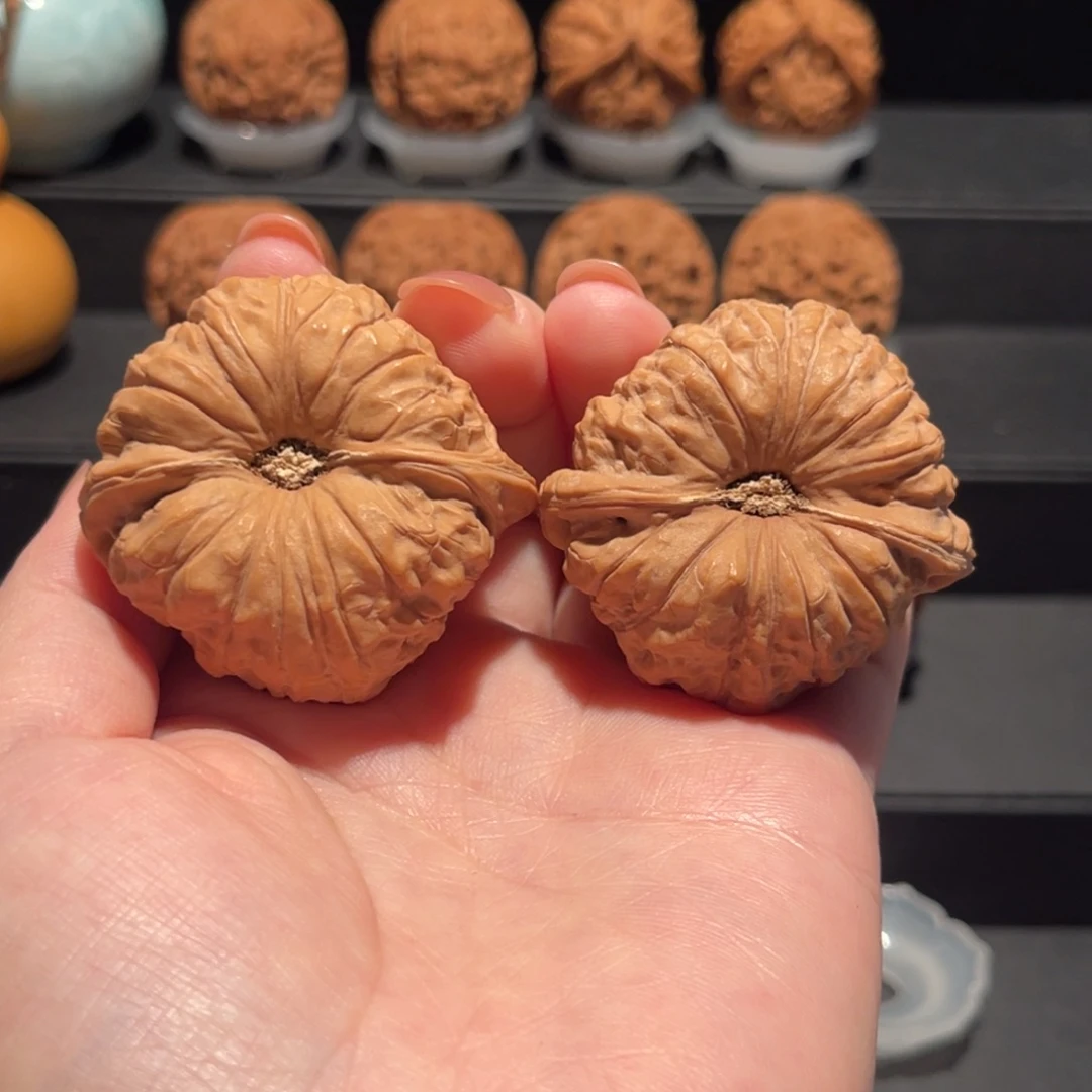 庆***儿南瓜墩46精品，全品