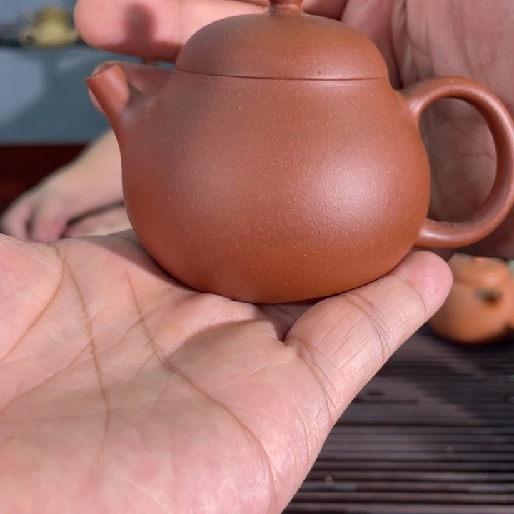 茶壶紫砂哈哈哈哈哈这个综艺节目真的