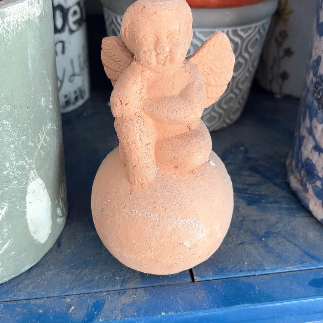 许纯的花房 天使礼物