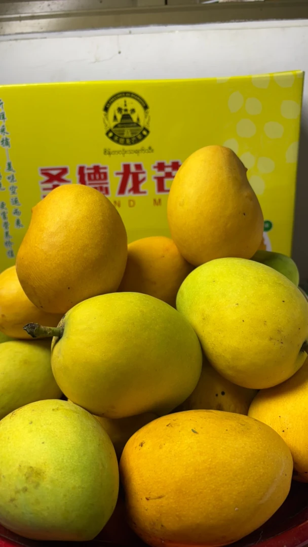 正宗云南圣德龙芒果
